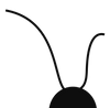 Pásový systém
