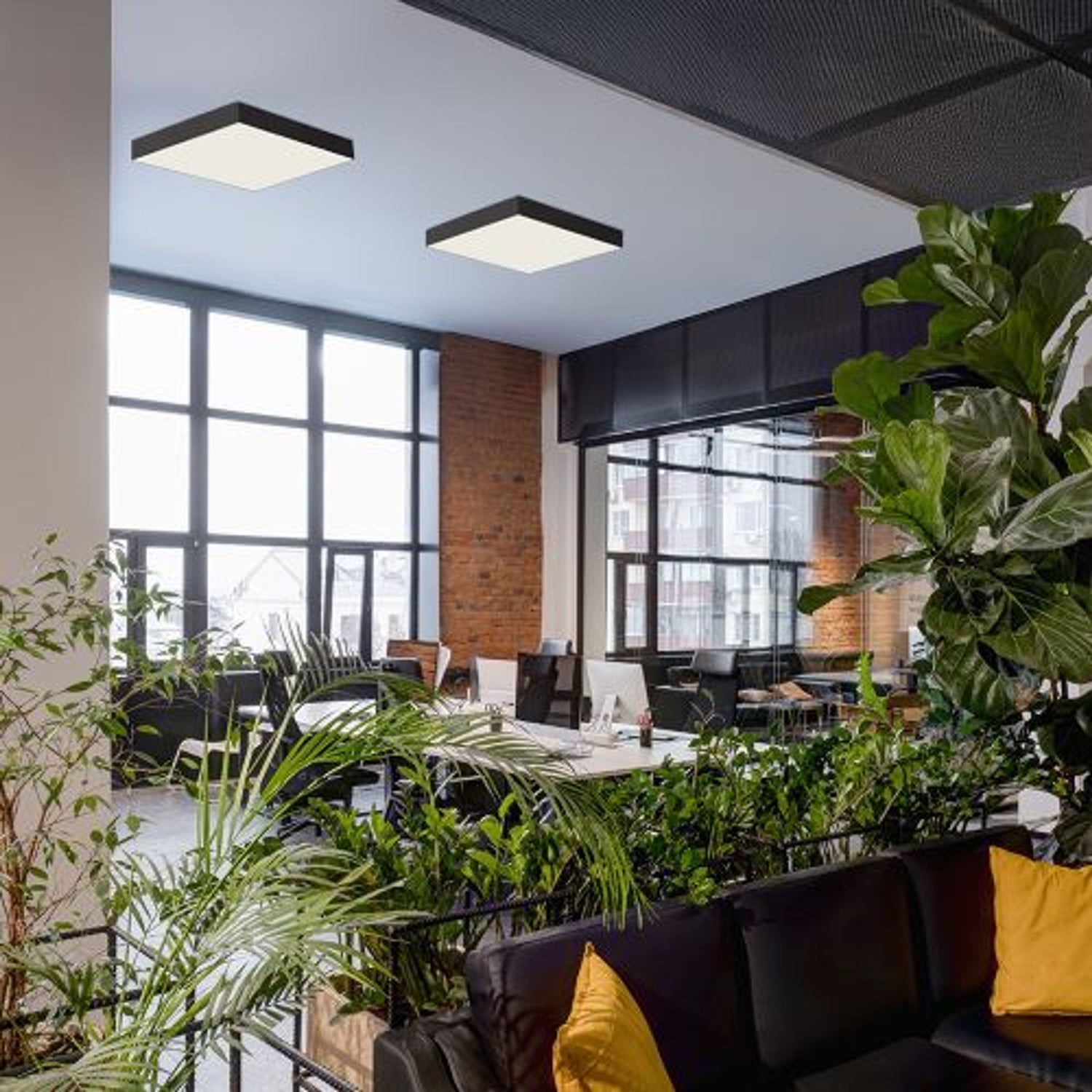 Living room ceiling lights