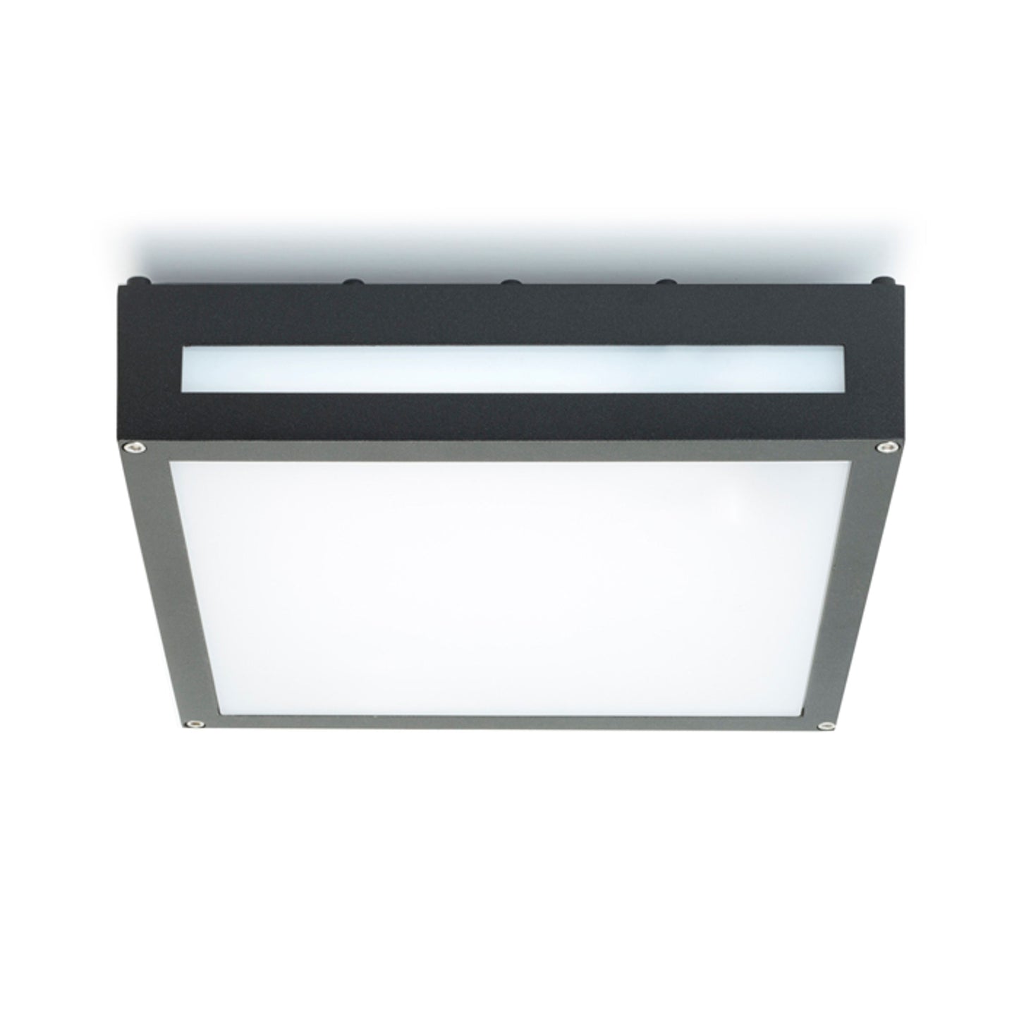 RENDL Outlet PLAKA ceiling black 230V E27 2x26W IP54 R10359 2