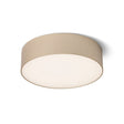 LARISA R 22 CEILING
